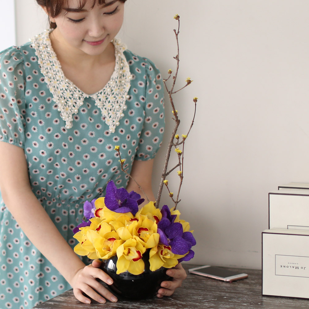 spring&sweet - yellow & puple  ɹ