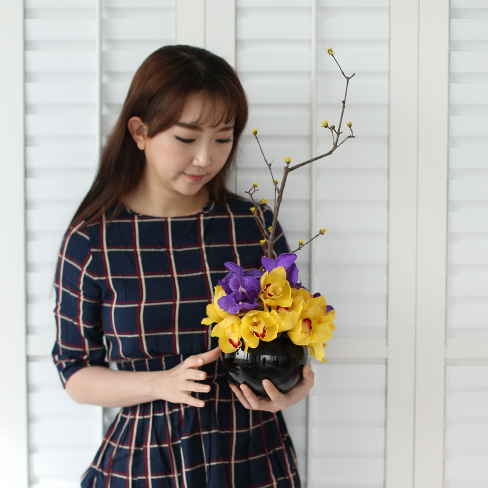 spring&sweet - yellow & puple  ɹ