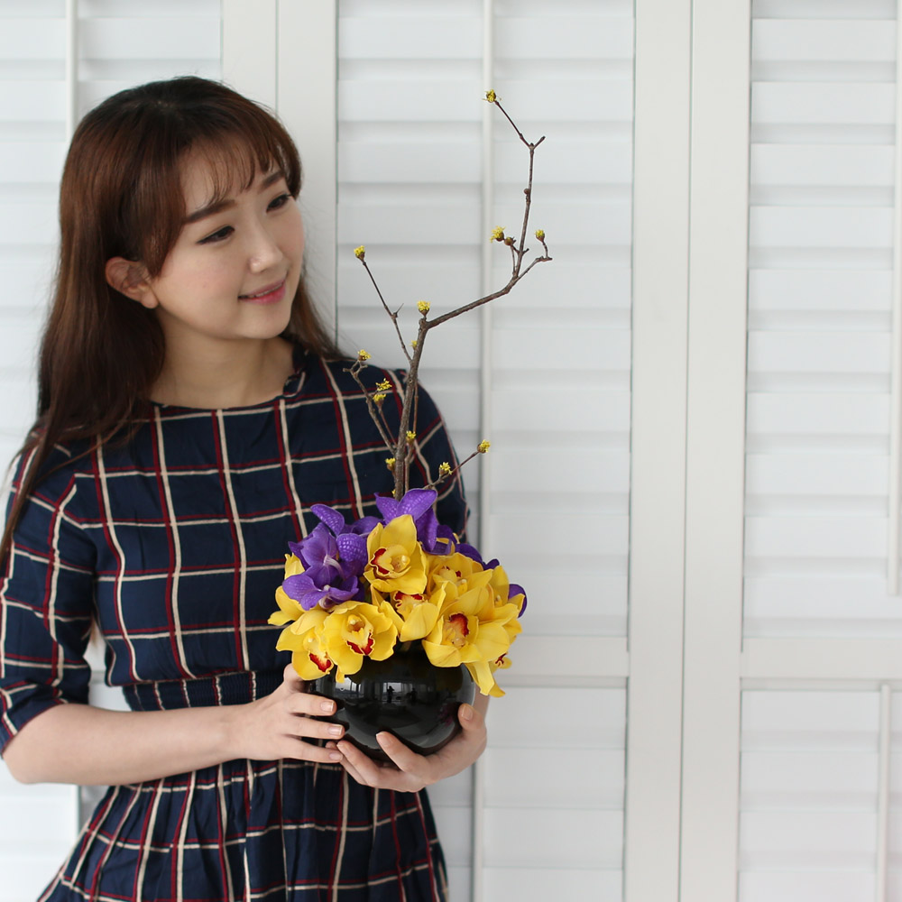 spring&sweet - yellow & puple  ɹ