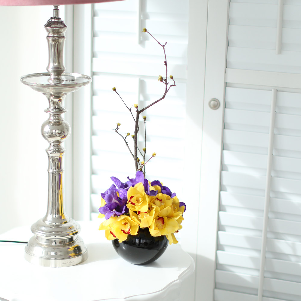 spring&sweet - yellow & puple  ɹ