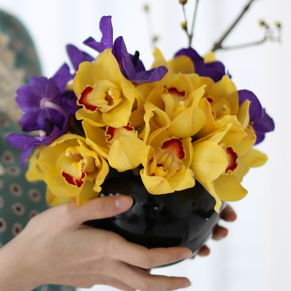 spring&sweet - yellow & puple  ɹ