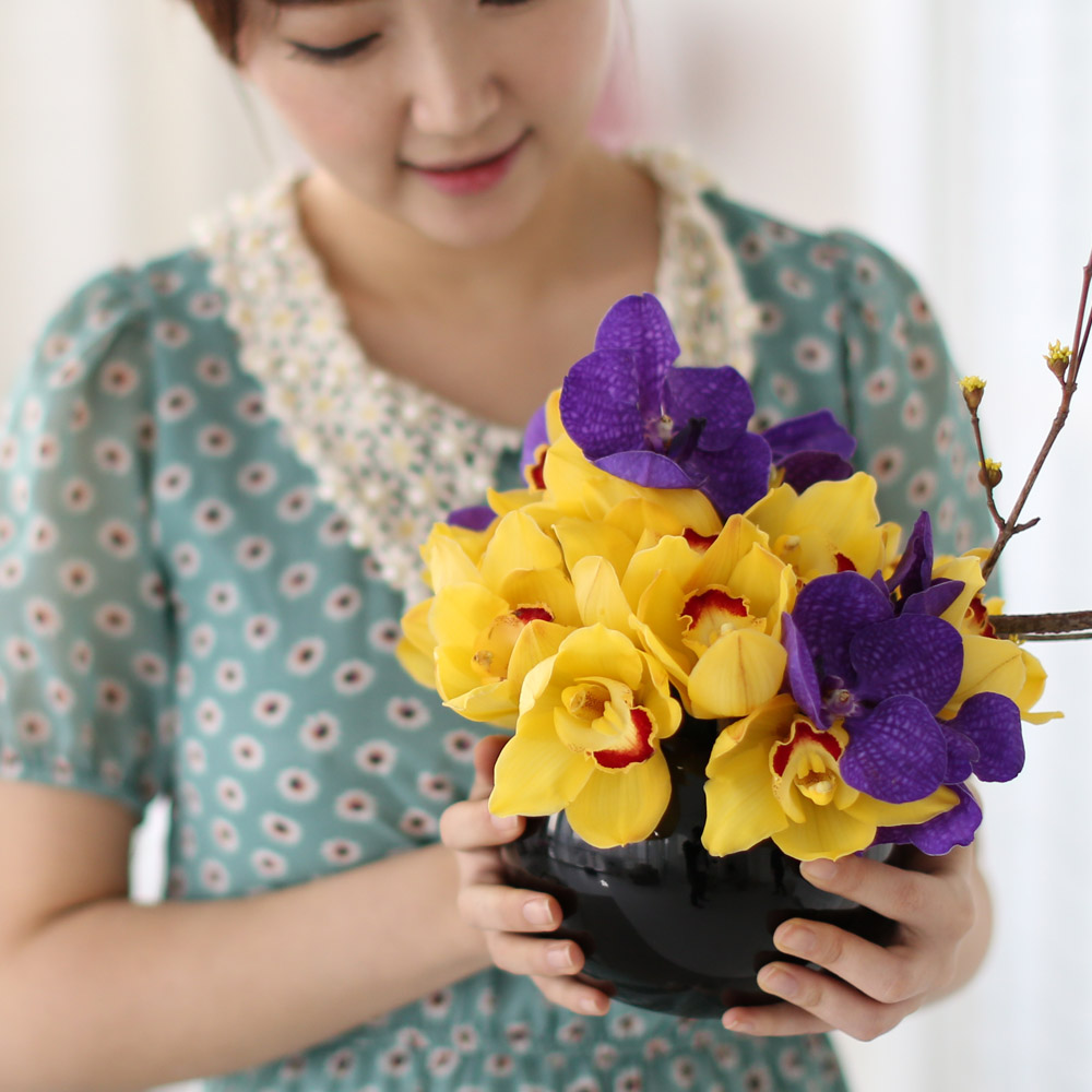 spring&sweet - yellow & puple  ɹ