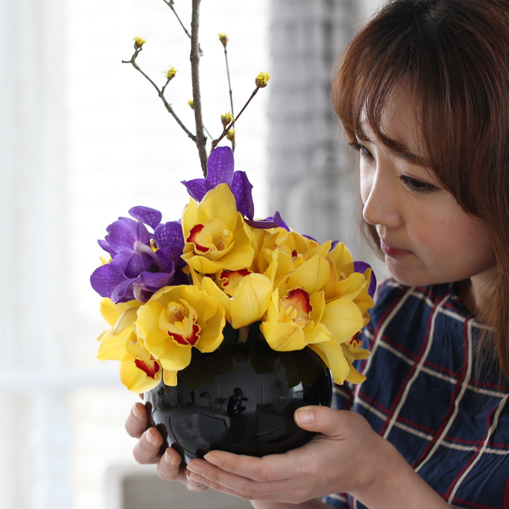 spring&sweet - yellow & puple  ɹ