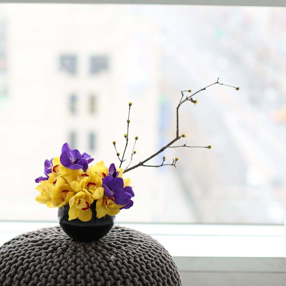 spring&sweet - yellow & puple  ɹ