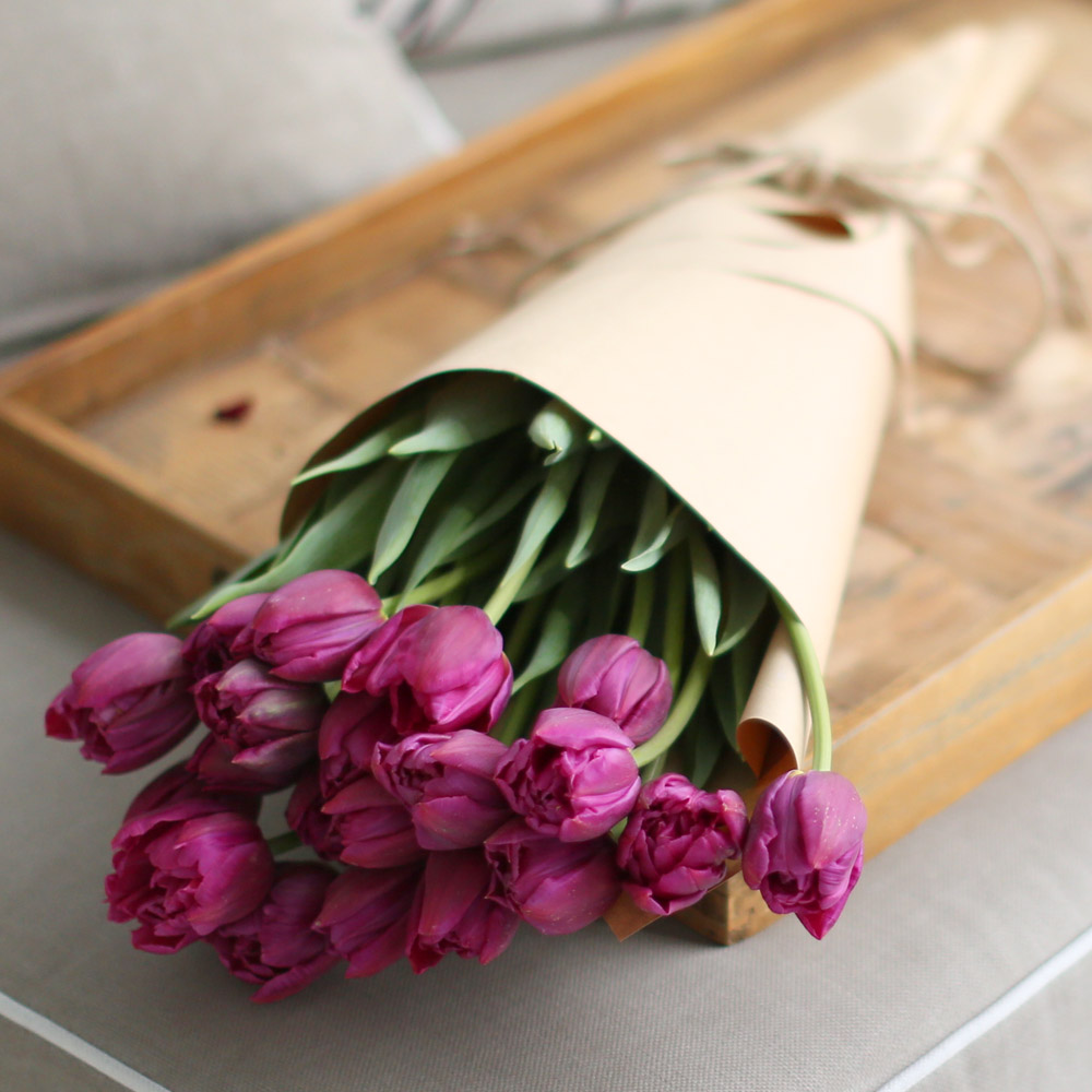 Spring&Sweet - oh my lovely tulip ���� �ɹ��