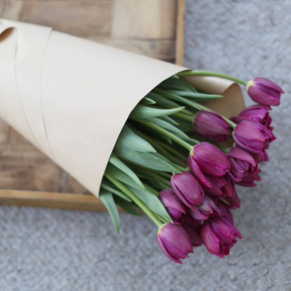 Spring&Sweet - oh my lovely tulip ���� �ɹ��