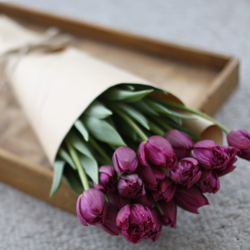 Spring&Sweet - oh my lovely tulip ���� �ɹ��