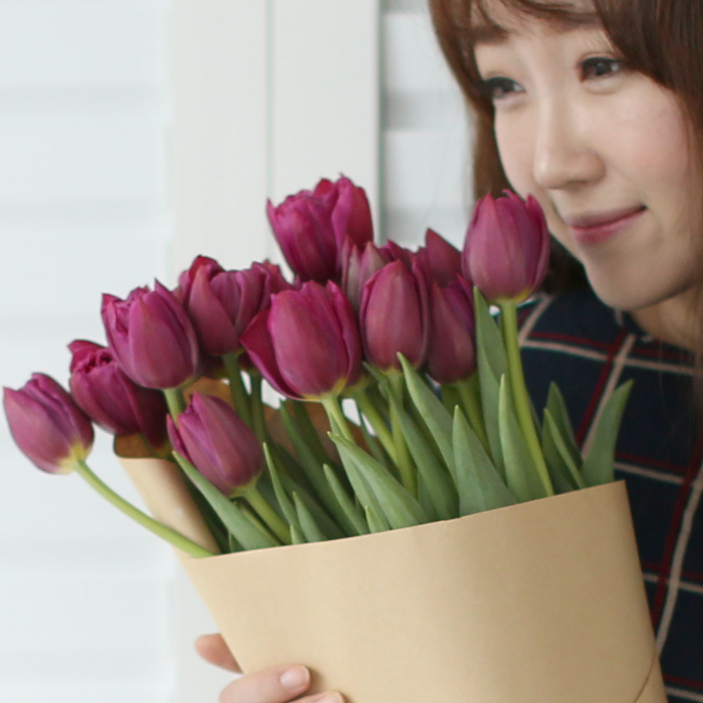 Spring&Sweet - oh my lovely tulip ���� �ɹ��