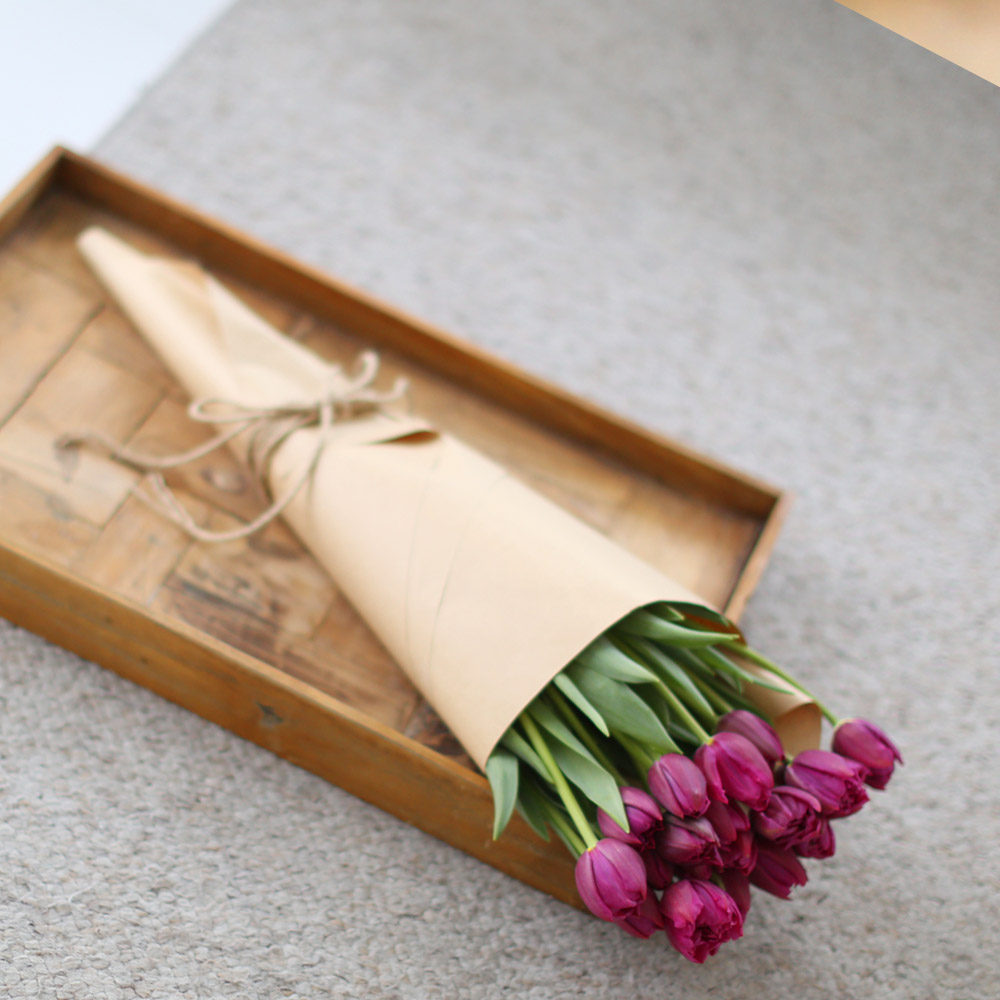 Spring&Sweet - oh my lovely tulip ���� �ɹ��