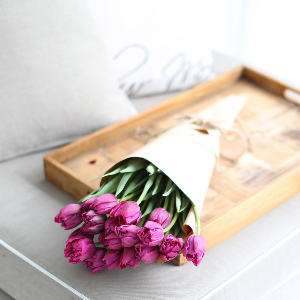 Spring&Sweet - oh my lovely tulip ���� �ɹ��