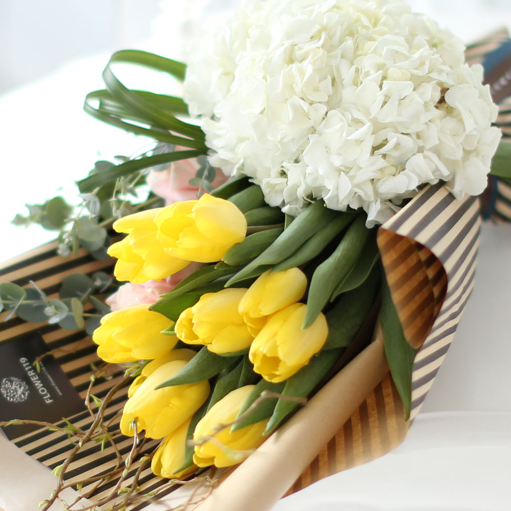 spring&vivid - hart crush  ɹ