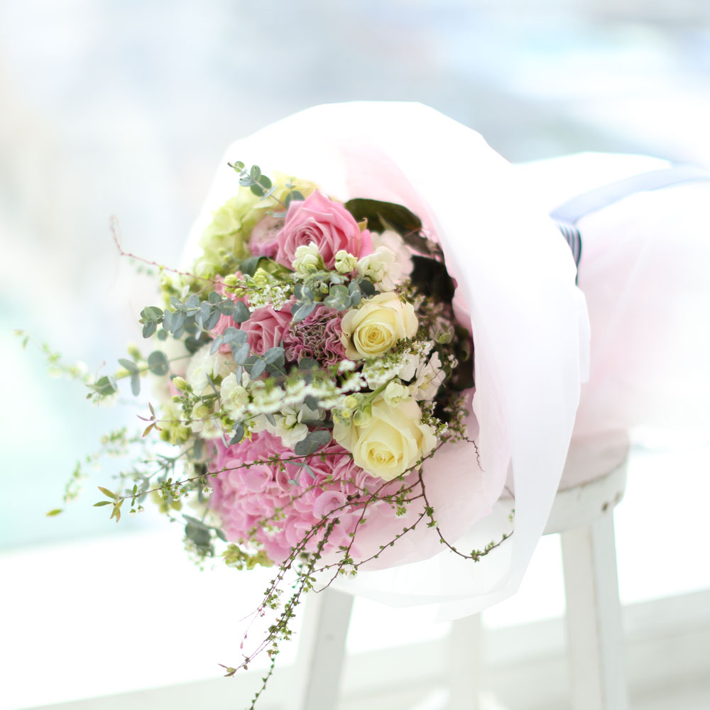 Spring & Vivid - Double candy  ɹ