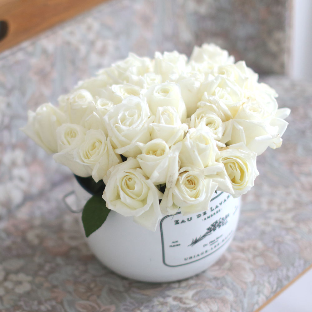 Invaluable white day - white rose (Èò»öÇöó¿ö¹Ú½º·Î º¯°æµÊ)