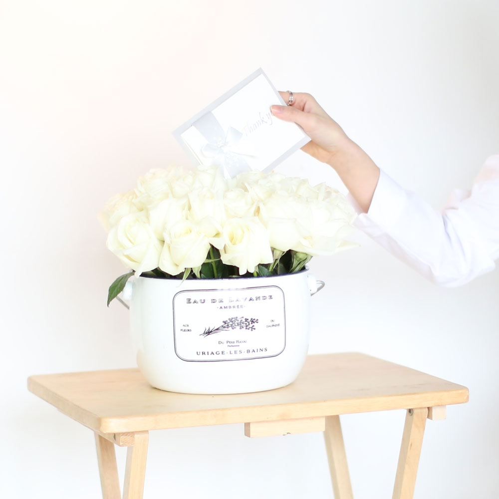 Invaluable white day - white rose (Èò»öÇöó¿ö¹Ú½º·Î º¯°æµÊ)