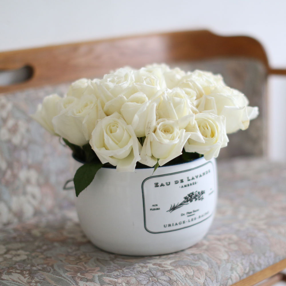 Invaluable white day - white rose (Èò»öÇöó¿ö¹Ú½º·Î º¯°æµÊ)