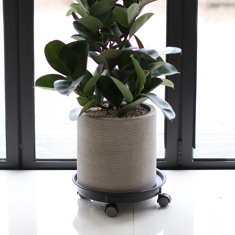 ½Ç³»¿¡ µü ÁÁÀº »çÀÌÁî °ü¿±ÈºÐ - ÀÙÀÌ ½Ì±×·´°í µµÅèÇÑ °í¹«³ª¹«