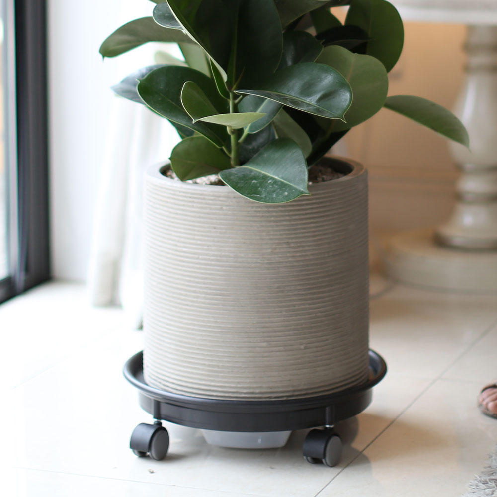 ½Ç³»¿¡ µü ÁÁÀº »çÀÌÁî °ü¿±ÈºÐ - ÀÙÀÌ ½Ì±×·´°í µµÅèÇÑ °í¹«³ª¹«