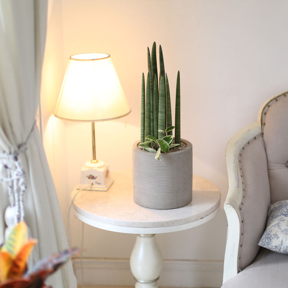 ǳ    ȭ -    ƩŰ ()