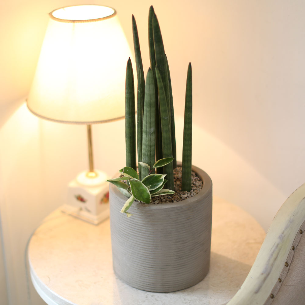 ǳ    ȭ -    ƩŰ ()