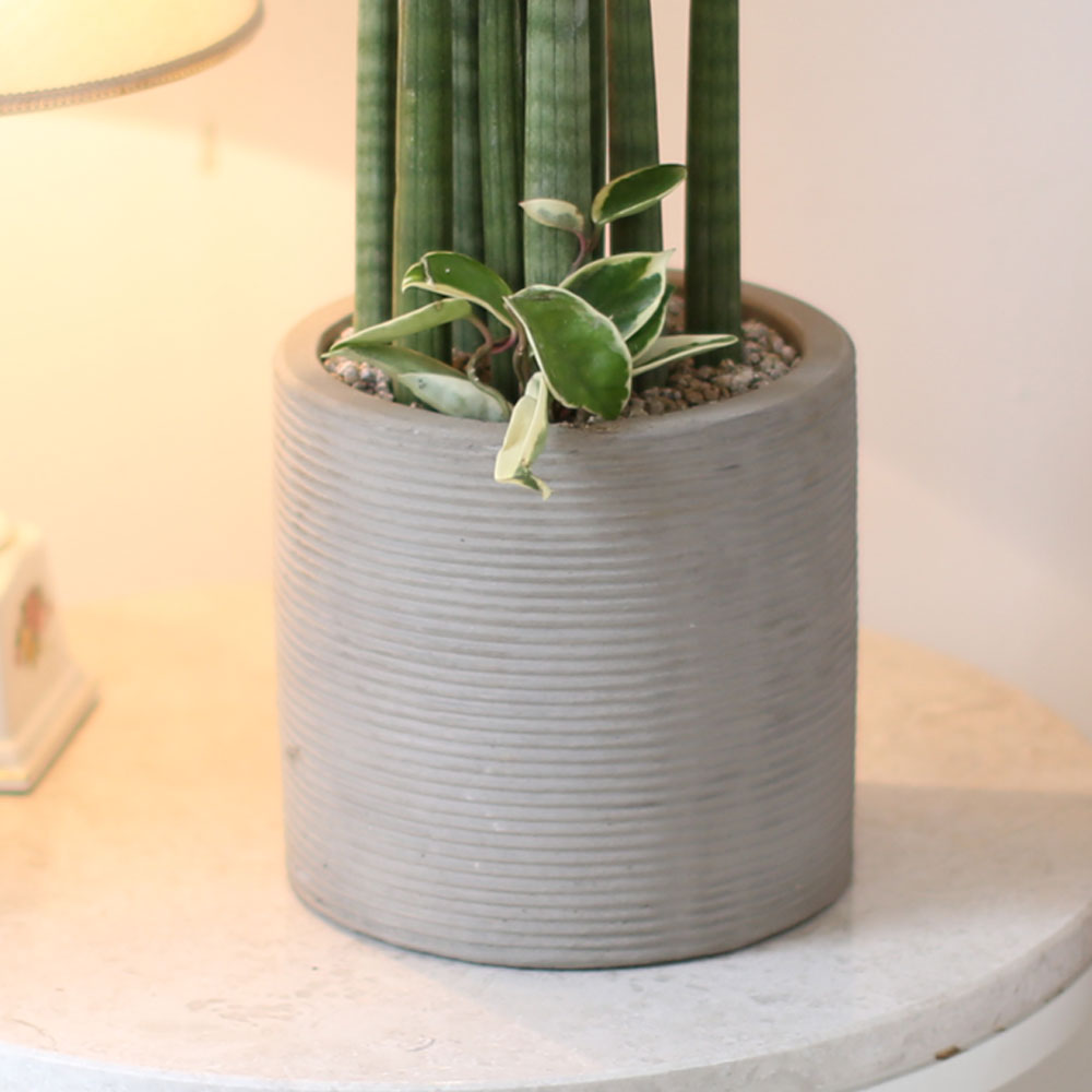 ǳ    ȭ -    ƩŰ ()