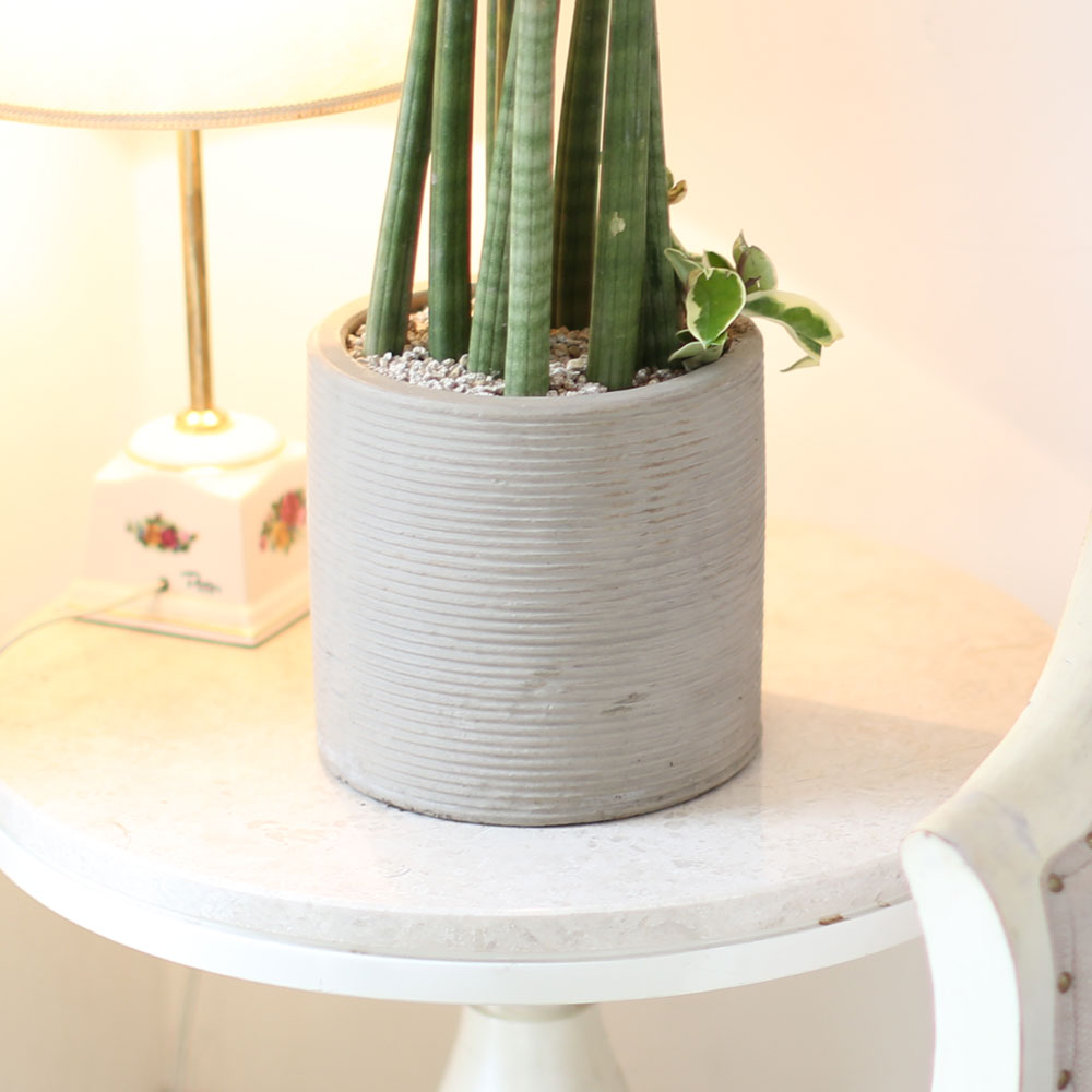 ǳ    ȭ -    ƩŰ ()