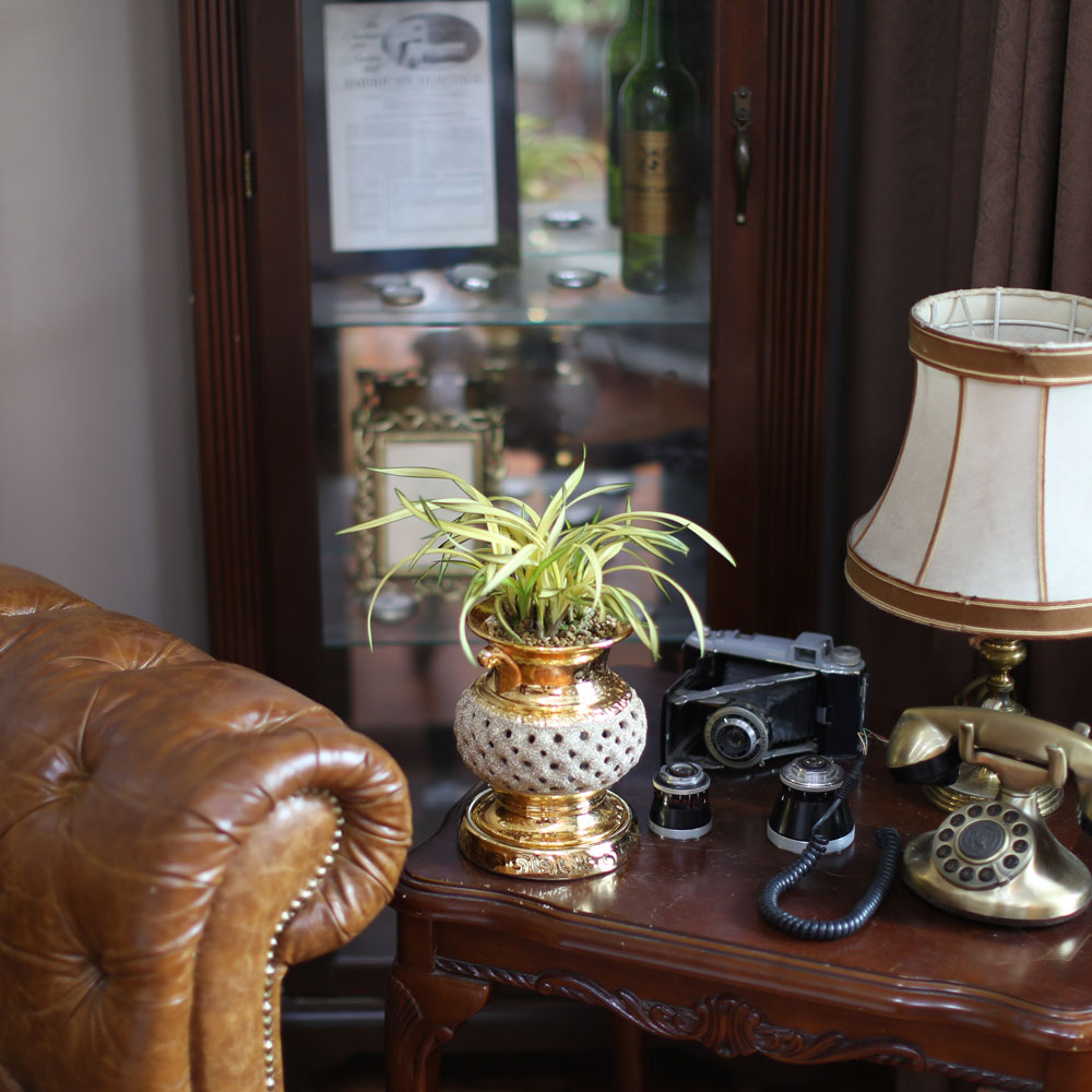 ������ �����մϴ� - ������ �޺��� ���� �籤