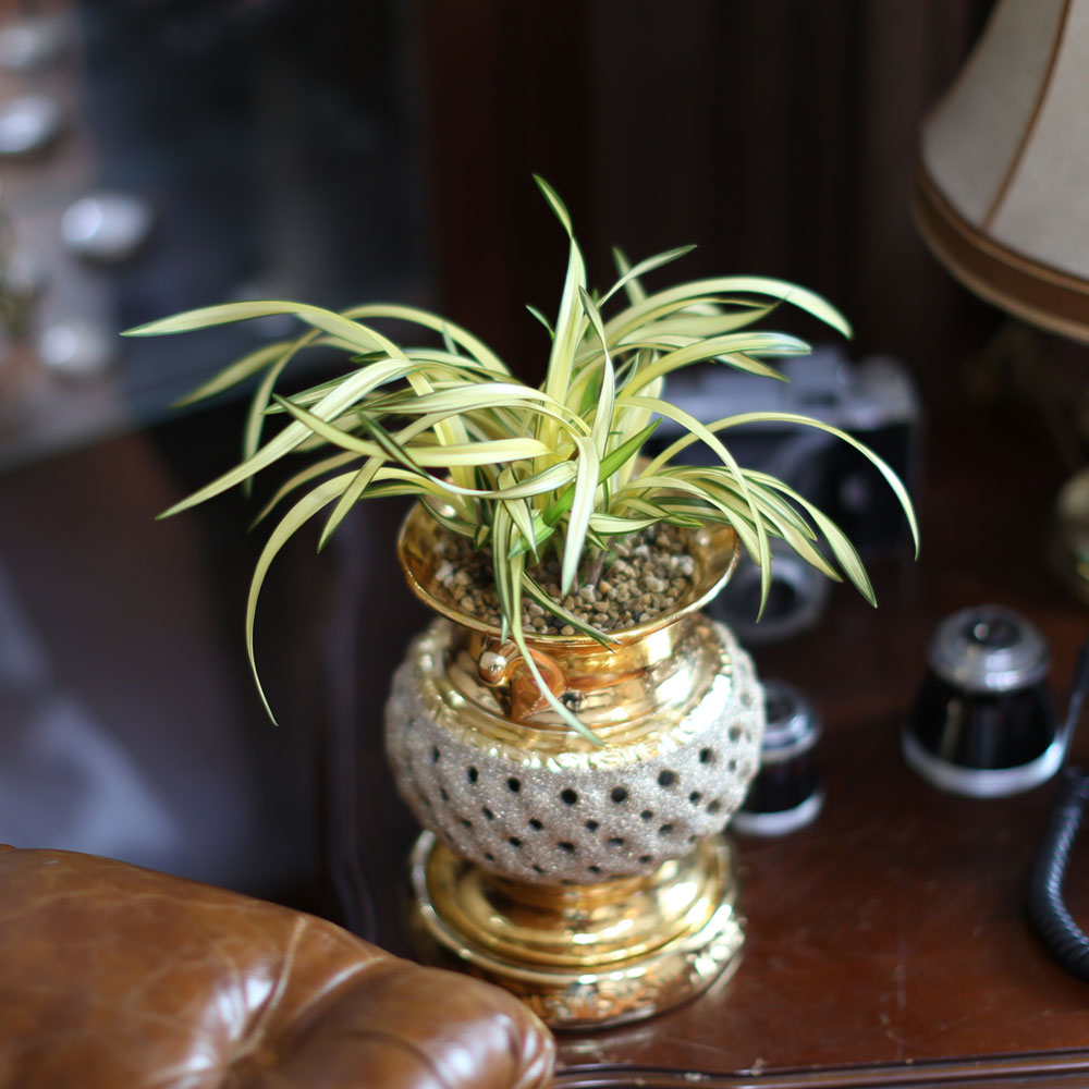 ������ �����մϴ� - ������ �޺��� ���� �籤