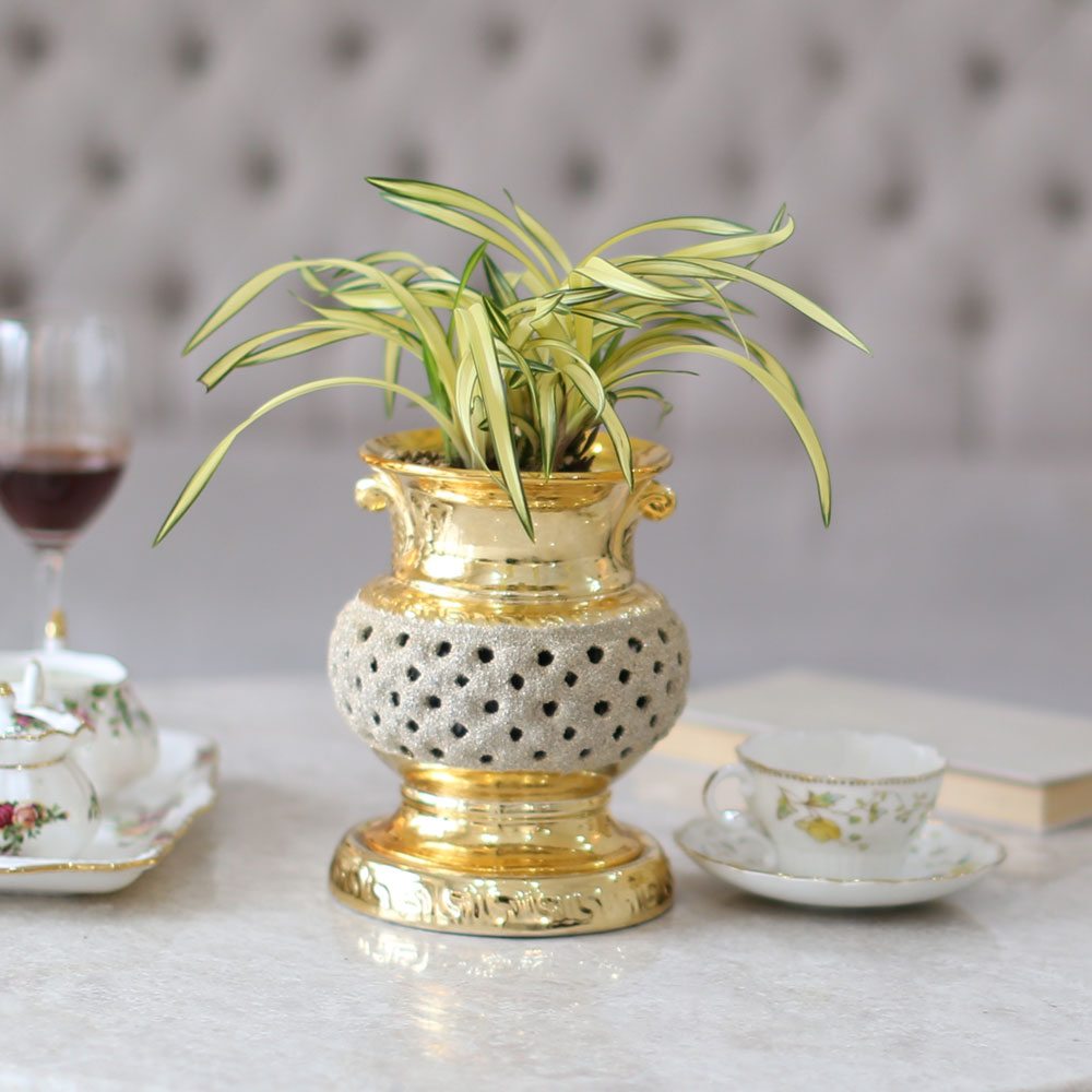 ������ �����մϴ� - ������ �޺��� ���� �籤