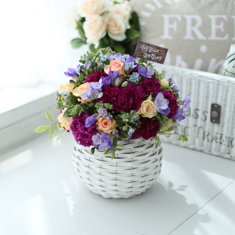   մϴ -      (ٱ ǰη ٸ ٱϷ ü˴ϴ)  ɹ