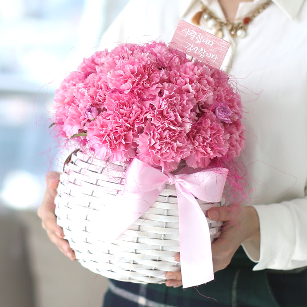   ٲ   (ٱ ǰη ٸ ٱϷ ü˴ϴ)