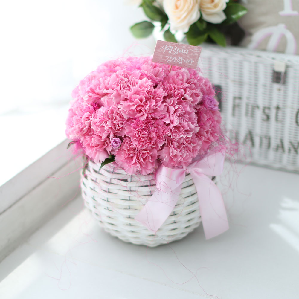   ٲ   (ٱ ǰη ٸ ٱϷ ü˴ϴ)