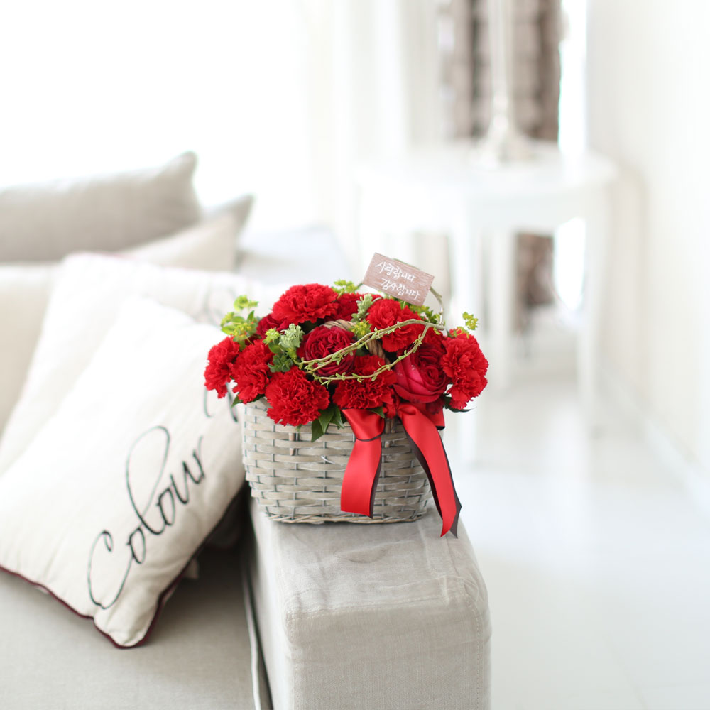 °¨»çÇÕ´Ï´Ù - ÇǺ¸´Ù ´õ ÁøÇÑ ²ÉÁý ²É¹è´Þ