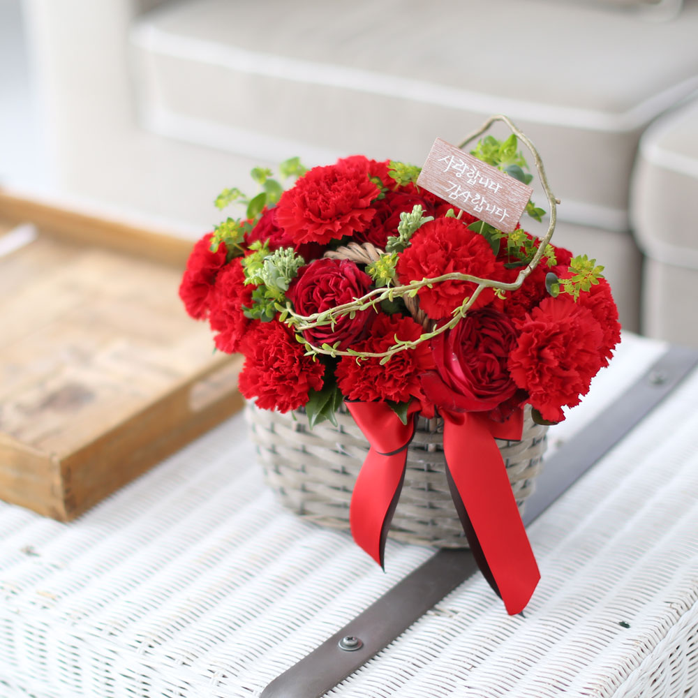 °¨»çÇÕ´Ï´Ù - ÇǺ¸´Ù ´õ ÁøÇÑ ²ÉÁý ²É¹è´Þ