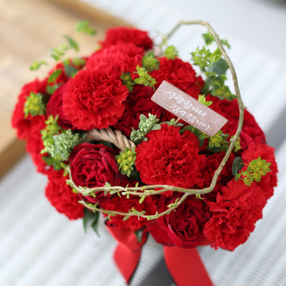 °¨»çÇÕ´Ï´Ù - ÇǺ¸´Ù ´õ ÁøÇÑ ²ÉÁý ²É¹è´Þ