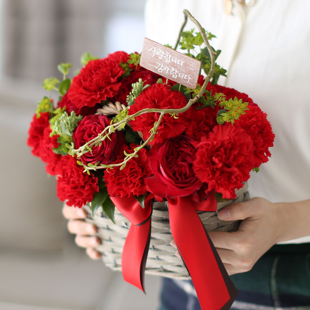 °¨»çÇÕ´Ï´Ù - ÇǺ¸´Ù ´õ ÁøÇÑ ²ÉÁý ²É¹è´Þ