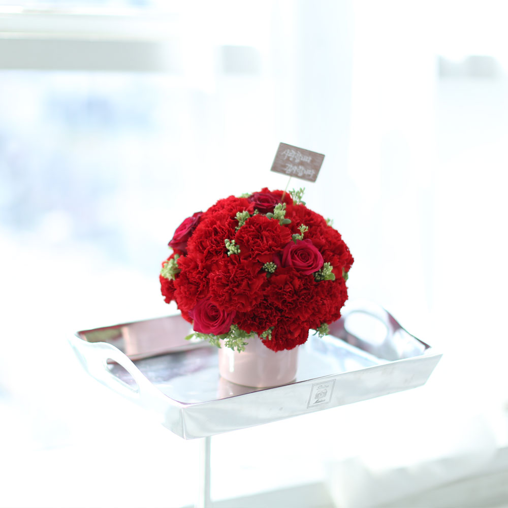 ,   -   մϴ -  밡 Ǿ   ɹ