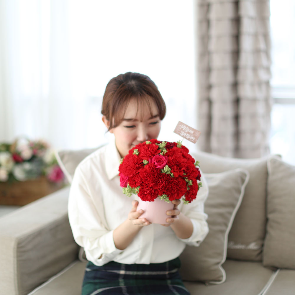 ,   -   մϴ -  밡 Ǿ   ɹ