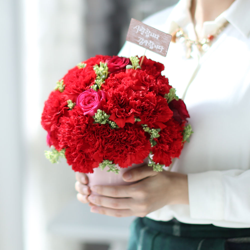 ,   -   մϴ -  밡 Ǿ   ɹ