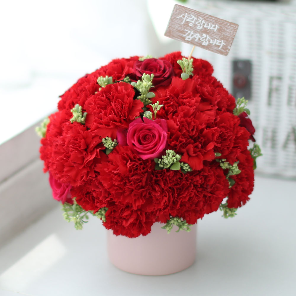 ,   -   մϴ -  밡 Ǿ   ɹ