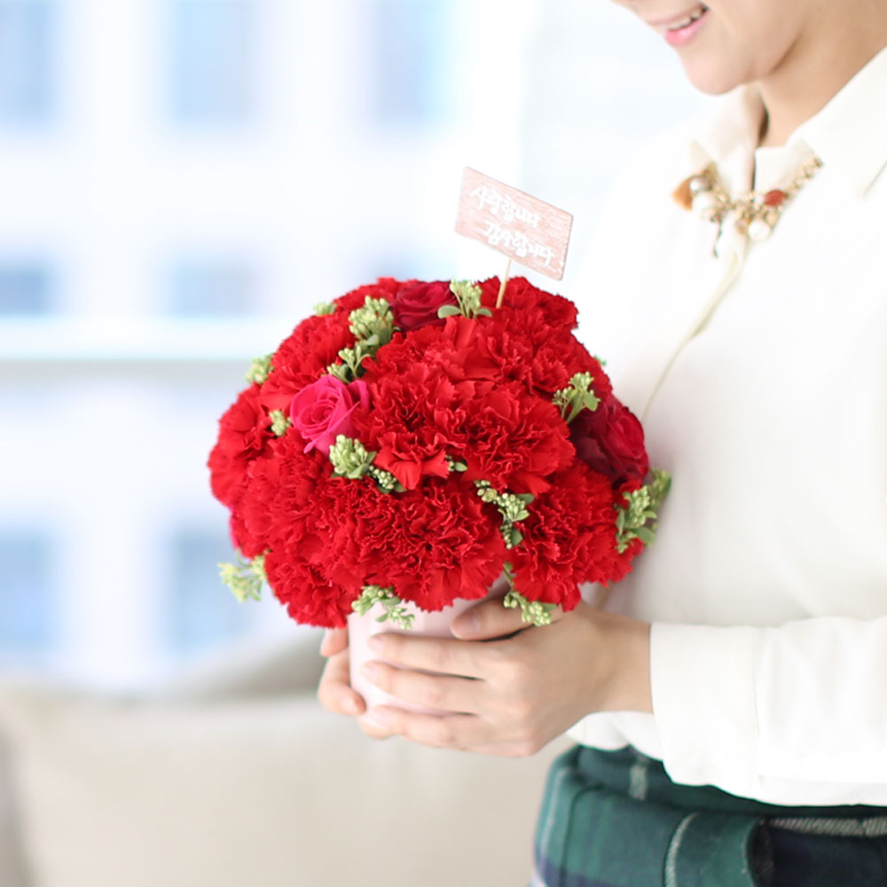 ,   -   մϴ -  밡 Ǿ   ɹ