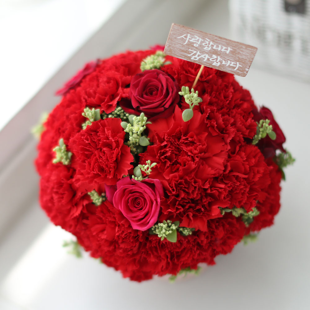 ,   -   մϴ -  밡 Ǿ   ɹ