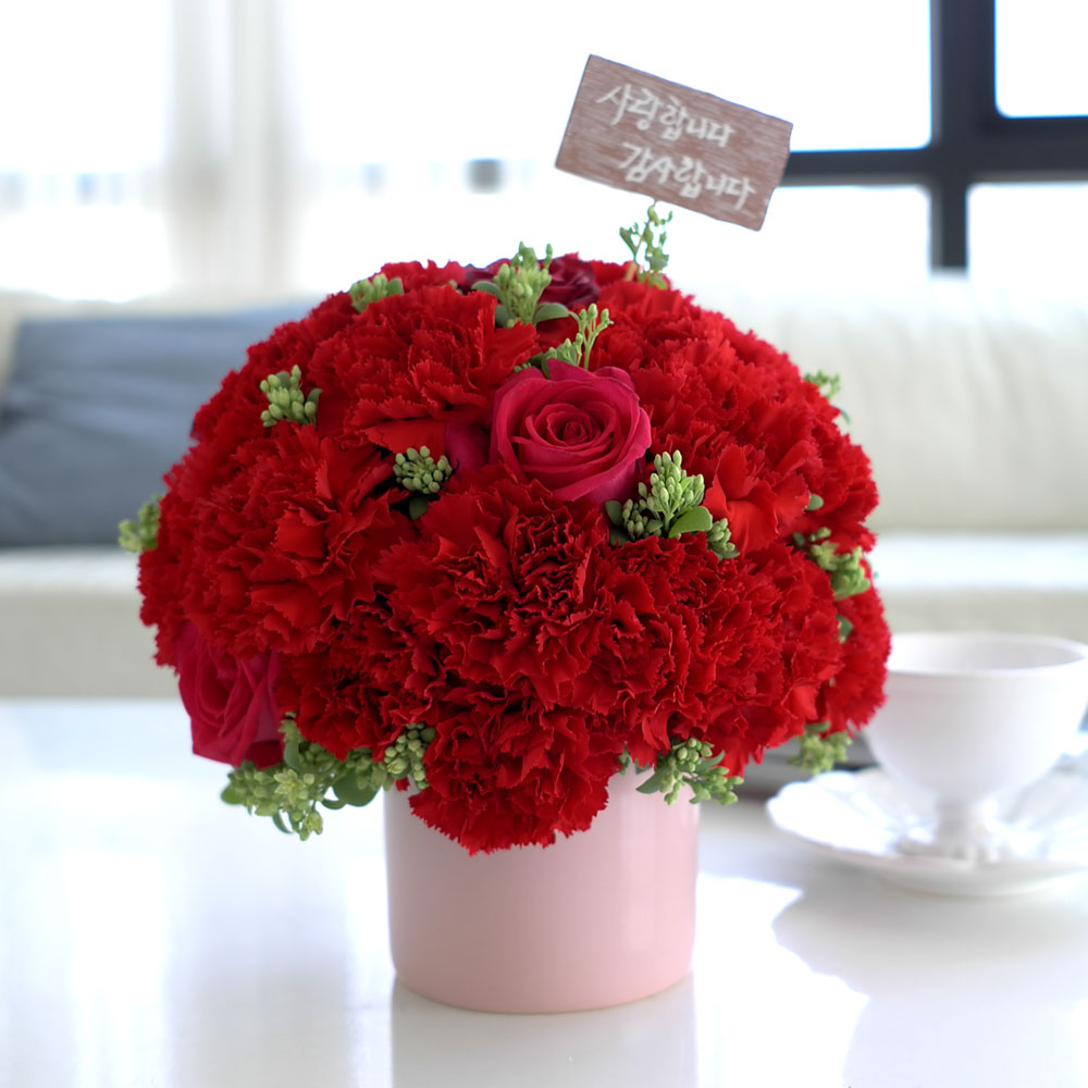 ,   -   մϴ -  밡 Ǿ   ɹ