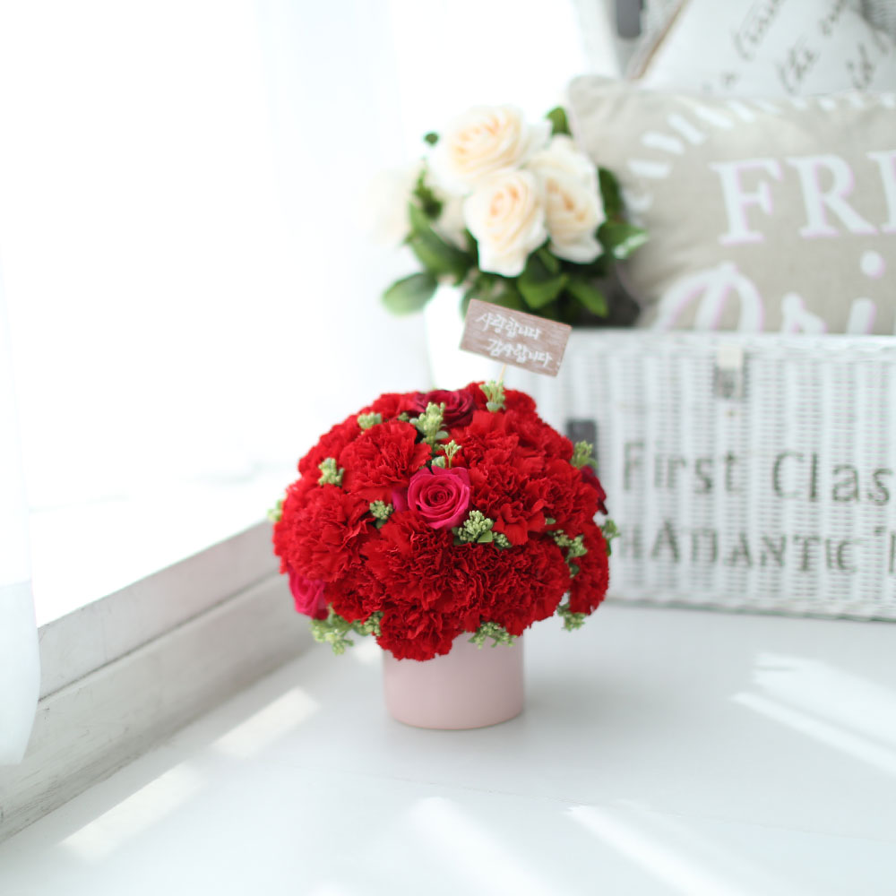 ,   -   մϴ -  밡 Ǿ   ɹ