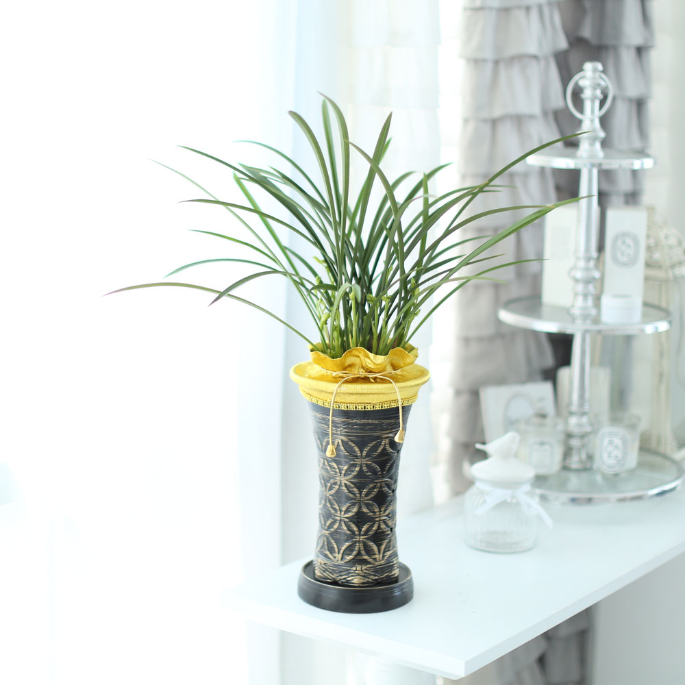 ���� ������ ������ ���� ö��ҽ� ���� �ɹ��