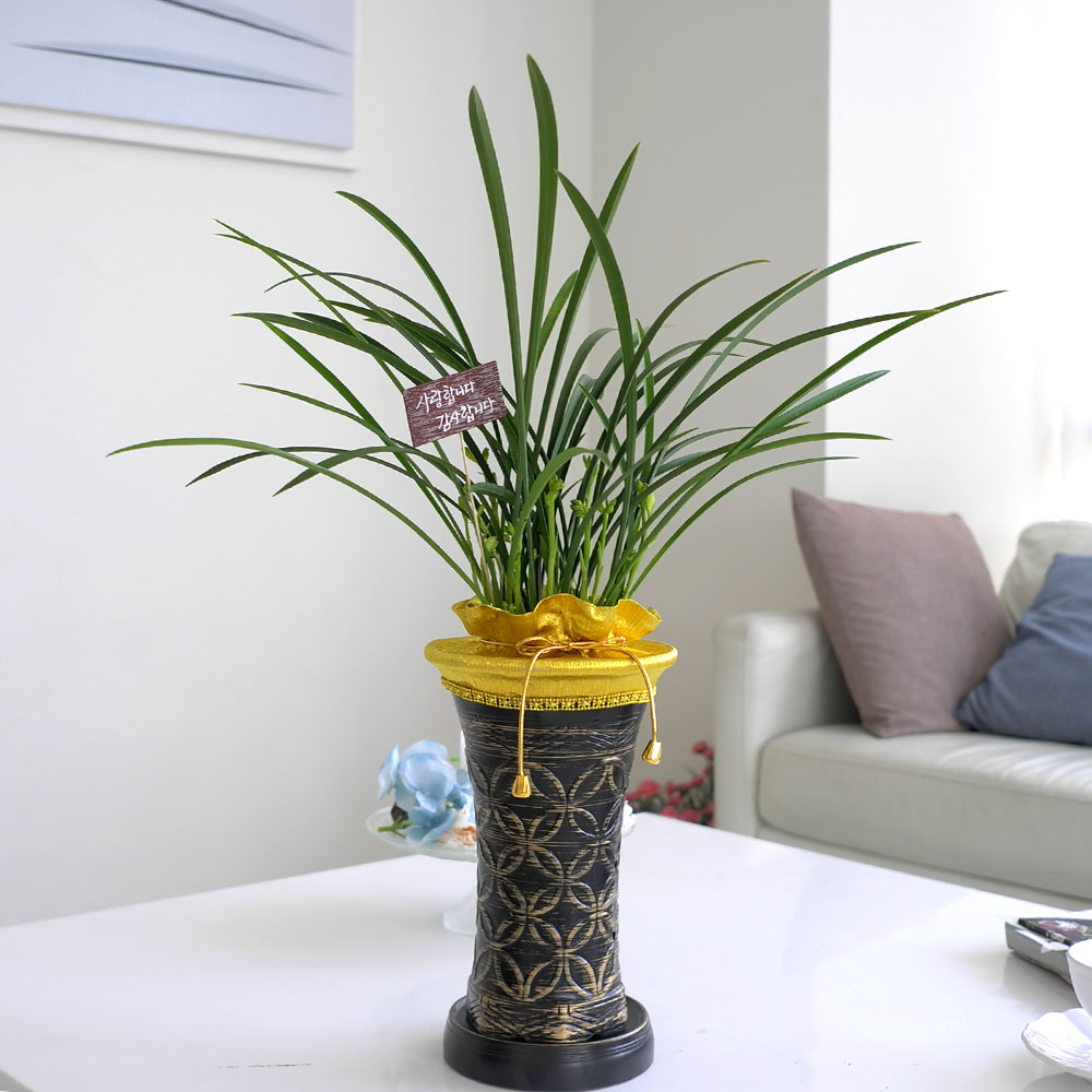 ���� ������ ������ ���� ö��ҽ� ���� �ɹ��