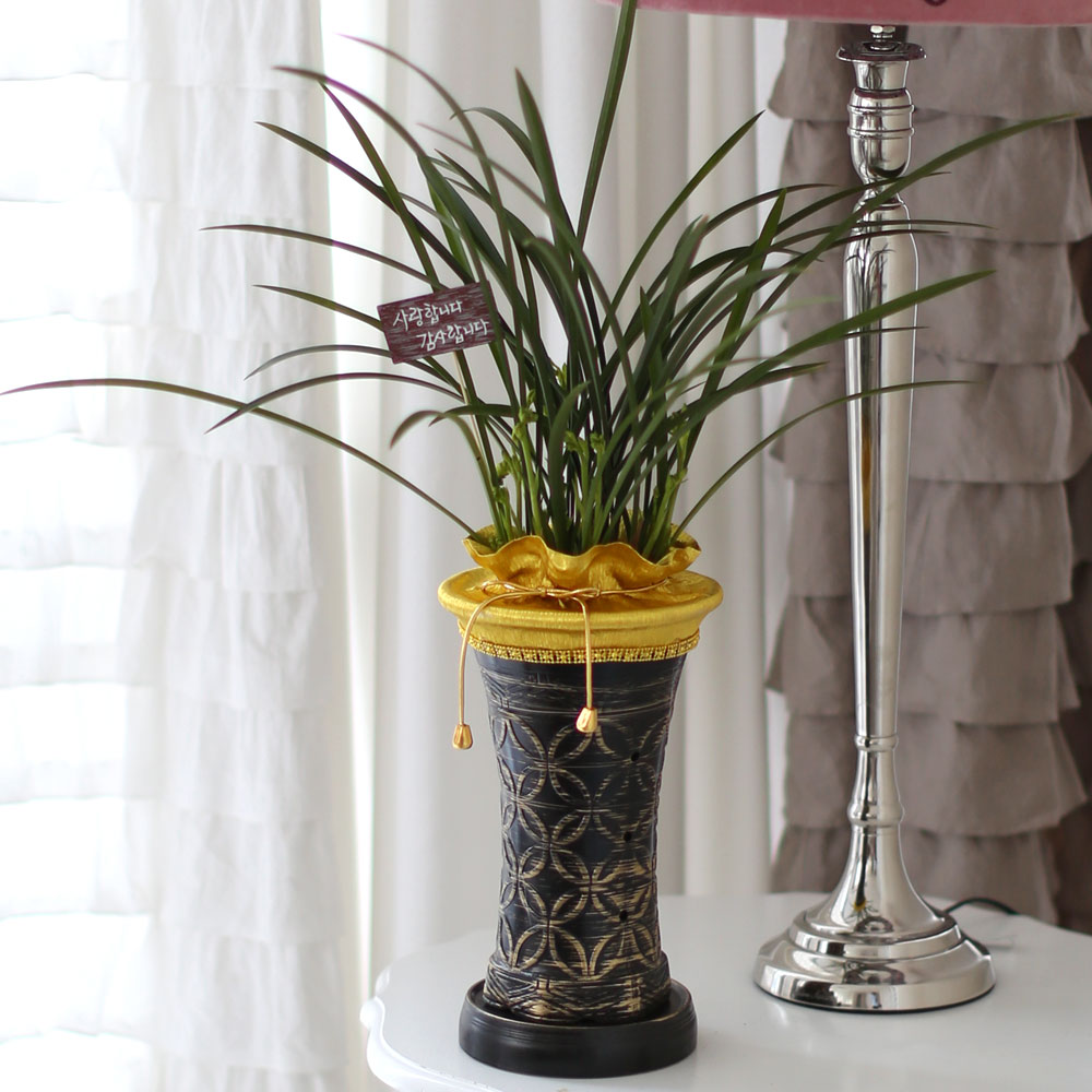 ���� ������ ������ ���� ö��ҽ� ���� �ɹ��