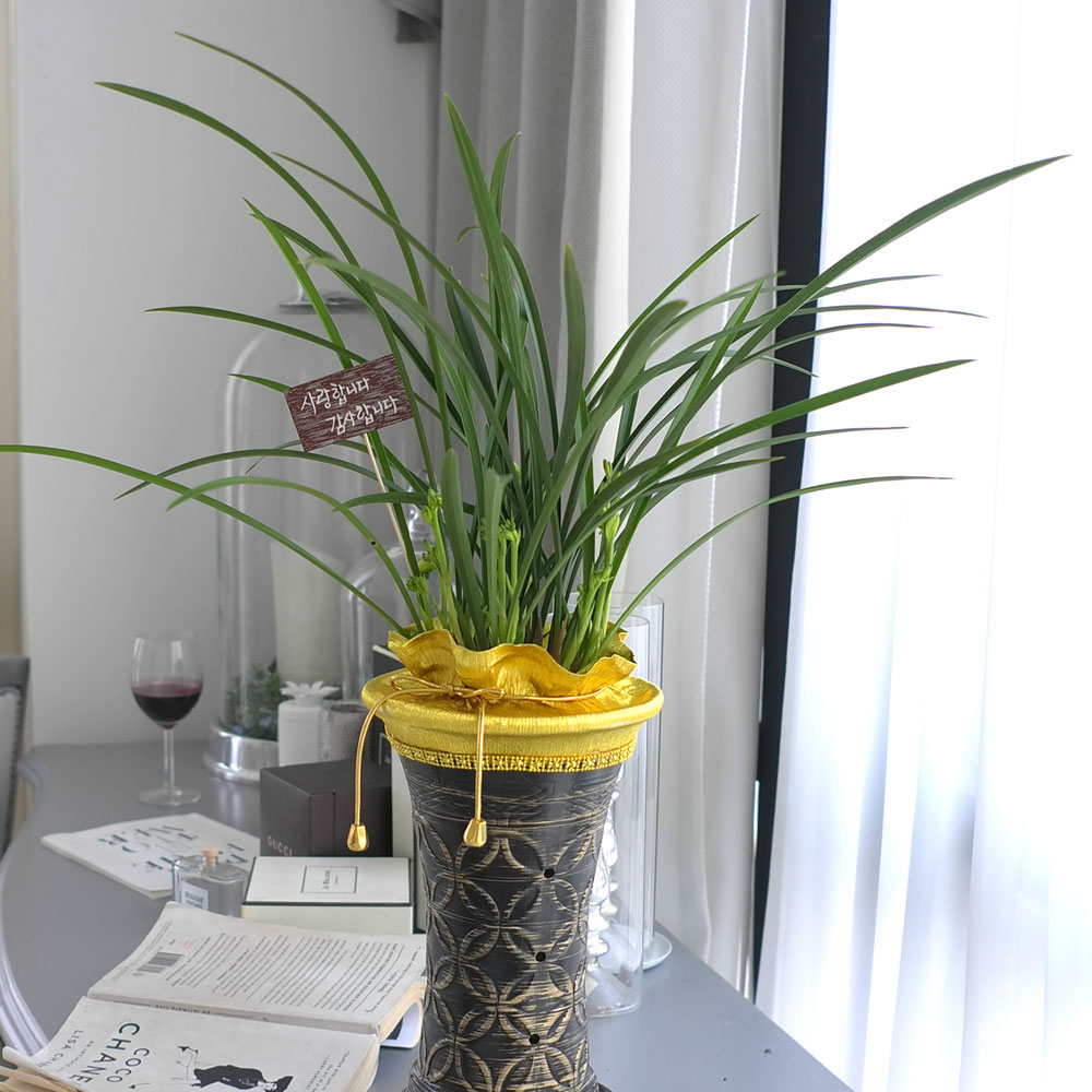 ���� ������ ������ ���� ö��ҽ� ���� �ɹ��