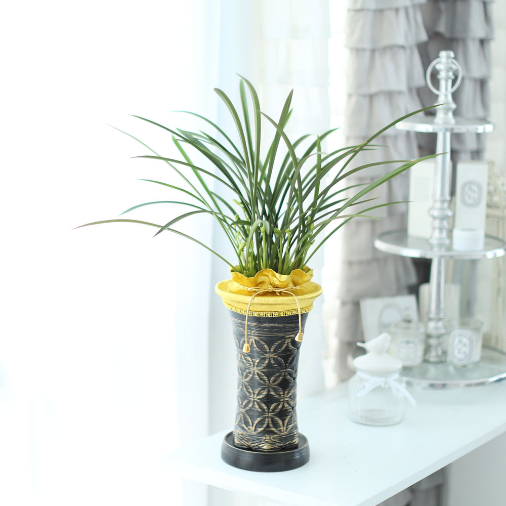 ���� ������ ������ ���� ö��ҽ� ���� �ɹ��