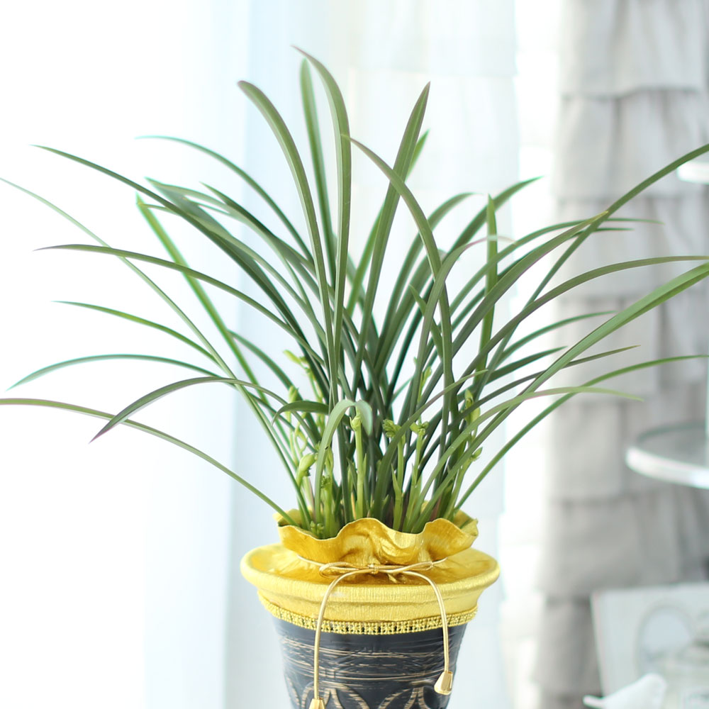 ���� ������ ������ ���� ö��ҽ� ���� �ɹ��