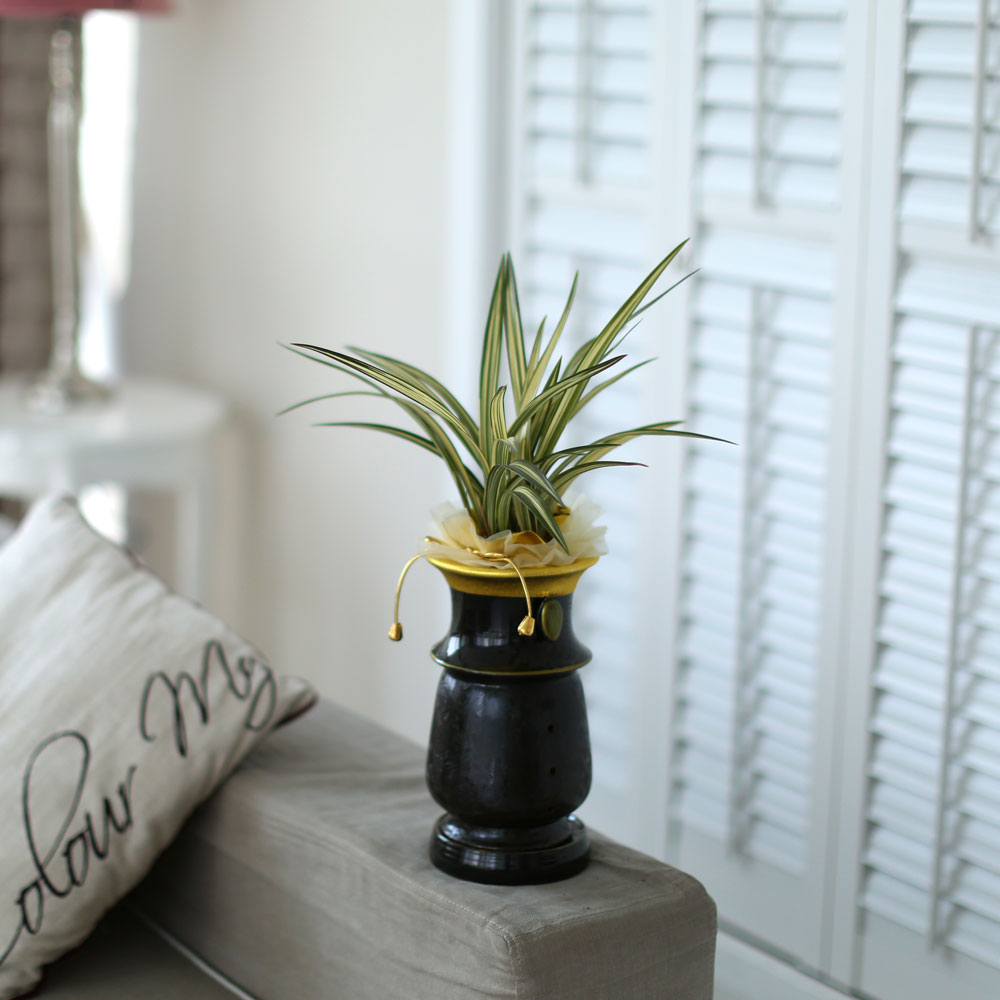 ½Ã¼±À» ¸Ó¹°°Ô ÇÏ´Â ½Ç³» ½Ä¹° - °í±Þ½º·¯¿î ºÐÀ§±â¿¡ µ¿¾ç¶õ(»çÇ×¼ö)